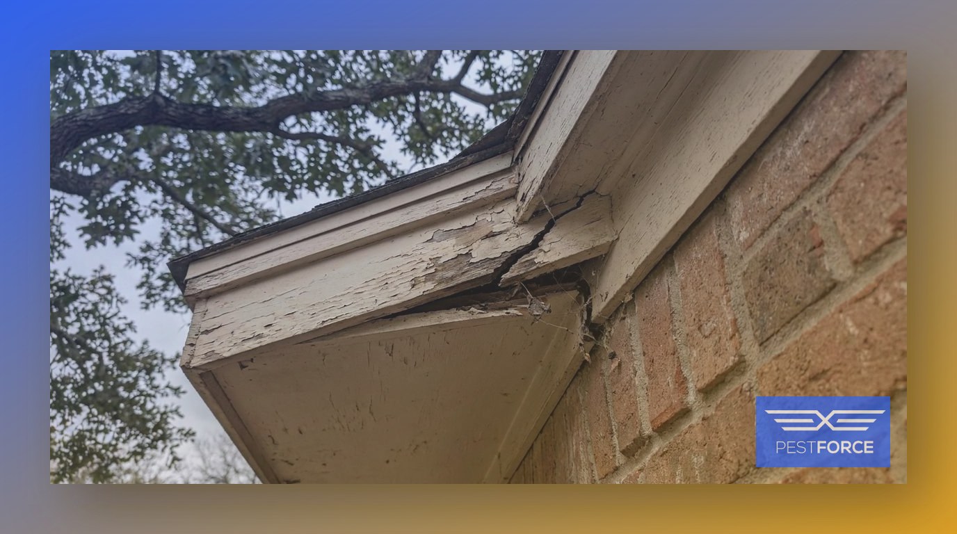 A deteriorating soffit gap on the exterior of an older Georgia home where the roofline meets the brick wall.